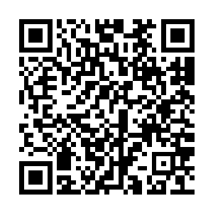 #用#铁#护#手#将#范#泾#的#两#面#攻#击#全#部#化#解#开#来#二维码生成