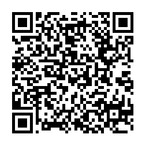 #系统你沉默十年不是整修而是从残疾系统变成花式表白系统了吧二维码生成