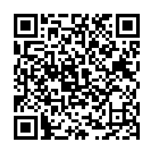 #而#他#的#动#作#也#引#来#田#中#的#一#阵#阵#惨#叫#声#二维码生成