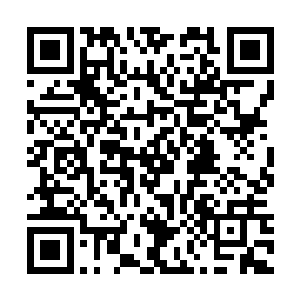 #范#泾#另#一#只#手#中#的#铁#棍#忽#然#收#缩#了#一#下#二维码生成