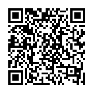 夏天以前还认为天阳城这种地方应该是充满活力的地方二维码生成