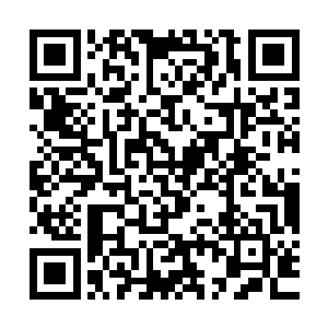 　　任仲无法想象九儿是如何带着重伤昏迷的自己来到这个村子二维码生成