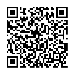 任仲还未来得及细细感受着符箓带来的变化二维码生成