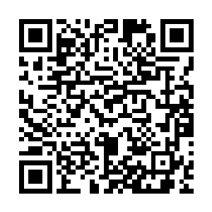 一下午顾子铭和蔡亚琴虽然力图想要继续保持以往一样的感觉二维码生成