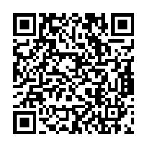 一下子就将视线落在了距离自己最近的那个侍卫身上二维码生成
