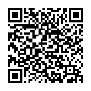 一下子就让怀远堂的宗祠大殿之前的露台广场变成了菜市场一样二维码生成