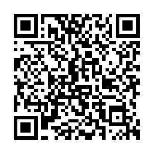 一个三百多个平方的墓穴映入到赵虎的视野之中二维码生成