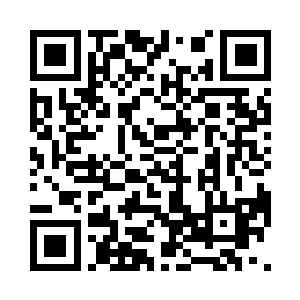 一个个也都紧张地望着面前硕大的巨藤二维码生成