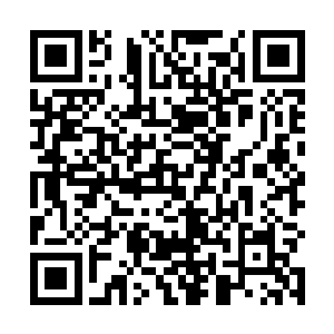 一个个伸着毛绒绒的脑袋凑到了贝海的身边不断的叫着二维码生成