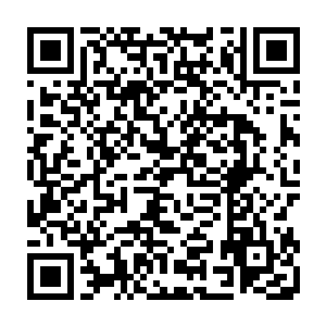 一个个头不高但是身材却玲珑有致的小美女站在秦洛面前出声汇报着说道二维码生成