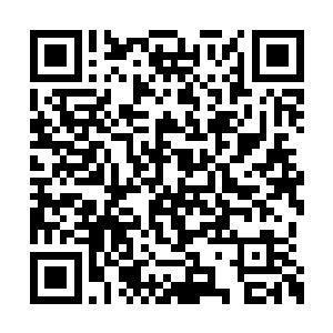 一个个的带着好奇还有期待甚至于几分幸灾乐祸二维码生成