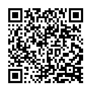 一个个身上也散发出一股恐怖的毁天灭地的狂暴的气息二维码生成