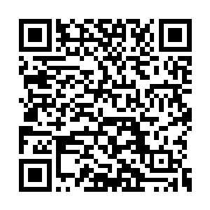 一个人上岛对于贝海来说是一件非常轻松的事情二维码生成