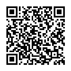 一个人就可以轻松的对方他们那么多尊者的原因二维码生成