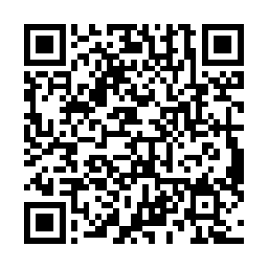 一个八千年来不知道遇到过多少疯狂的灵兽的围堵的男人二维码生成