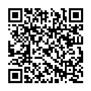 一个只会用令牌威压他们的人会有多么强悍的实力二维码生成