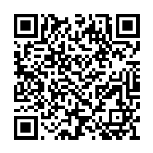 一个后来被无数的山苗人尊称为启智祖师的女人二维码生成