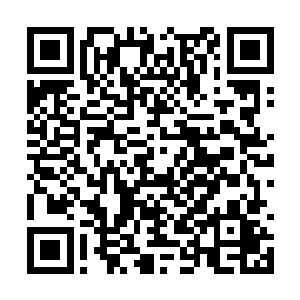 一个天尊后期的高手显然还没有被龙傲天放在眼里二维码生成