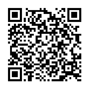 一个威国的七级文相和一个七级术士被打的丢掉半条性命二维码生成
