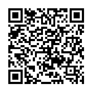 一个家族三代可以和那些家族二代的顶旗人物对话二维码生成