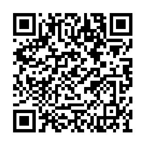 一个小时之内你和于正谦若不亲自送孟猊回学校二维码生成