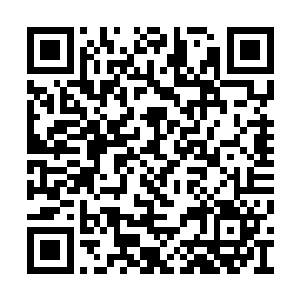 一个年级看来只有七八岁的孩童头顶悬在一把伞二维码生成