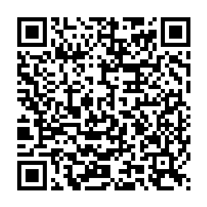 一个念头突然出现在他的脑袋里――与其自己去追击魔族的大地骑士二维码生成