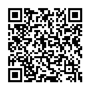 一个恐怖的巨大的血洞出现在了他们的右肩之处二维码生成