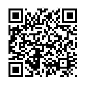 一个憨厚胖嘟嘟的熊孩子靠在树干上二维码生成