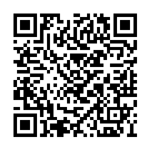 一个有着无限成长空间的天才谁不想去拉上关系二维码生成