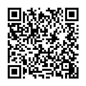 一个染着红头发的家伙恰好开着挖掘机轰鸣着过来二维码生成