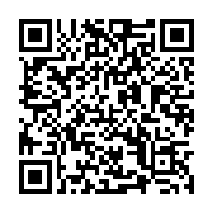 一个比一个身份吓人的大大小小老老的宝贝疙瘩们二维码生成