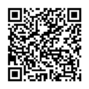 一个气月九级的高手穿着闪亮霸气的披风从正门走了进来二维码生成