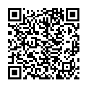 一个清华大学毕业的大学生就只能沦落到去当个屠夫了吗二维码生成