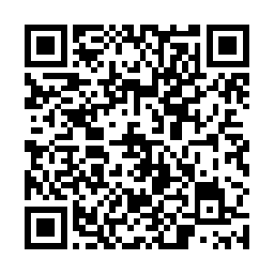 一个父女的训练场景让放映厅有了赛事迫近的紧张气氛二维码生成