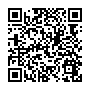 一个空间异能者的随身空间因为没有生命磁场的支撑二维码生成