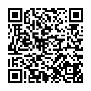 一个脖子上脚上都带着铁链的女子正蜷缩在铁笼子的角落里面二维码生成