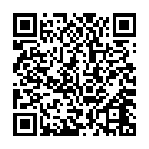 一个行巫蛊之术用的娃娃居然在凤沉鱼的枕头底下给翻了出来二维码生成