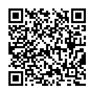 一个足有丈许的巨大拳头突然出现在百米高空之处二维码生成