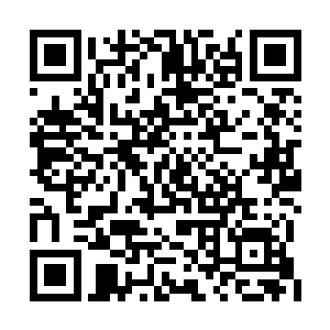 一个身穿紫色礼服的女服务员端着一个托盘进来二维码生成