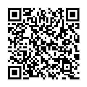 一个雇佣兵看到一堵断墙上挂着一节白晃晃的腿骨二维码生成