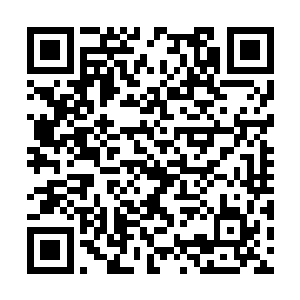 一个黑袍中年人负手站在山巅之上的一棵古树之下二维码生成