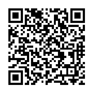 一些原本可能会制约甚至影响到这个项目通过的因素也会被解除二维码生成
