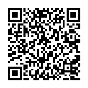 一些围观者顿时不自主的伸手摸了摸自己的脸庞二维码生成