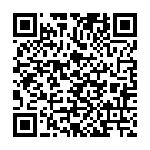 一件跟锁子甲一样材质的裤子 出现在了菲尼斯身下二维码生成