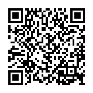 一份放入他用来检定材料成分的法宝中进行测试二维码生成
