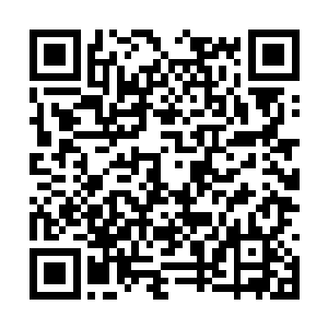 一众苏氏学子也已经在先生们的督促下准备多时了二维码生成