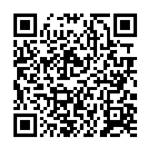 一位身穿正黄龙袍的年轻人和一个身穿监正官服的少年并肩而行二维码生成