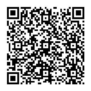 一切都是因为她与小樱完全不符的倔强冷血性格让他沉寂的心在经历了上万年岁月之后二维码生成