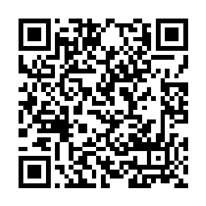 一副受宠若惊的模样乖巧的跟着那群高层走出了门二维码生成
